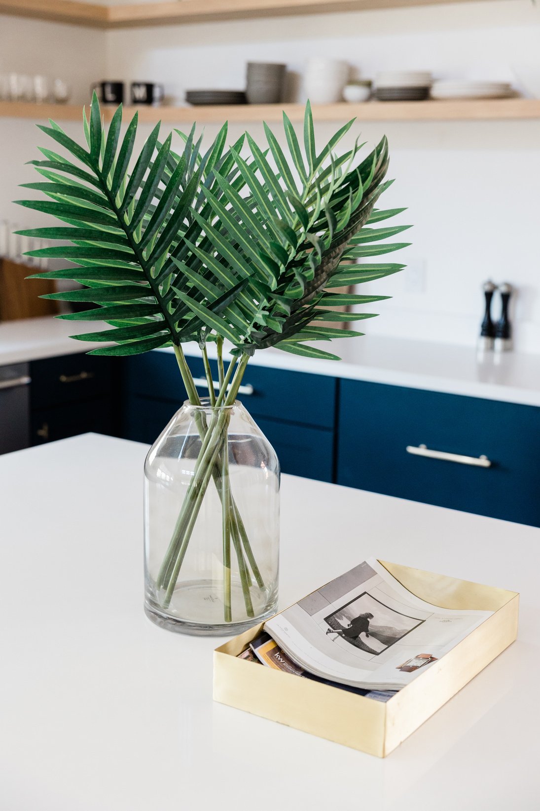 Houseplant in a Vase and Box with Magazines on Table